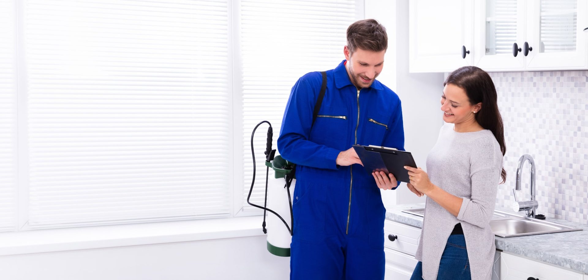 Save your home with expert termite control in Denver, CO